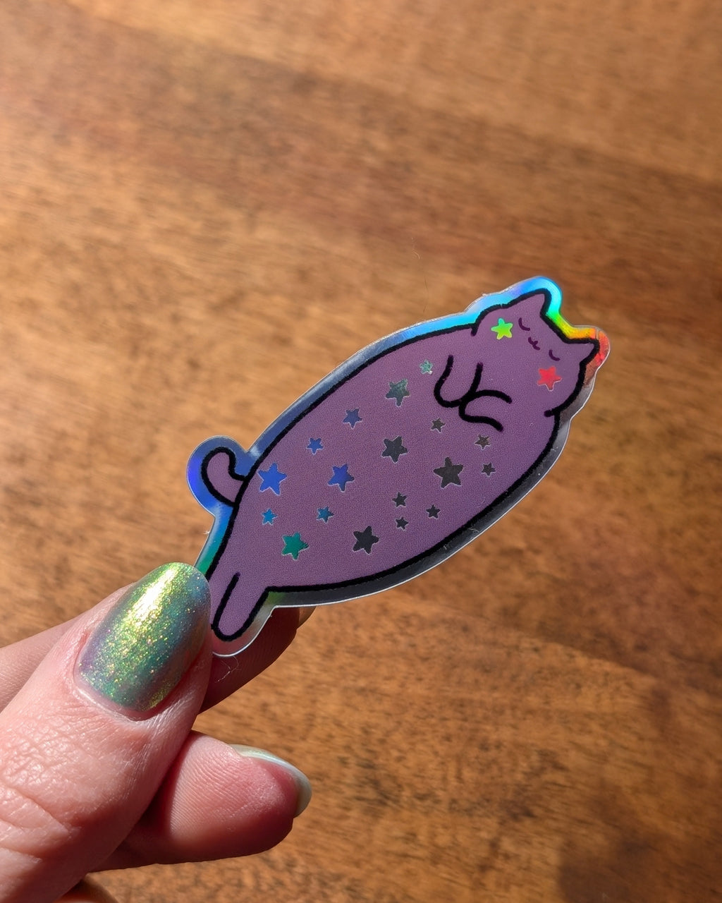 Starry Cat Holo Sticker